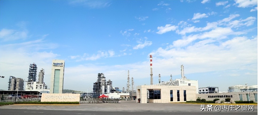 枣庄职业学院2023年单招计划,枣庄职业学院2023年订单培养