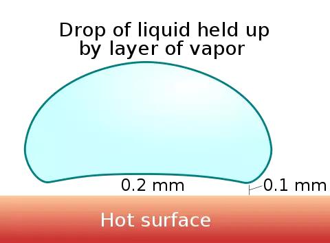 抗原检测的工作原理是什么？|No.341