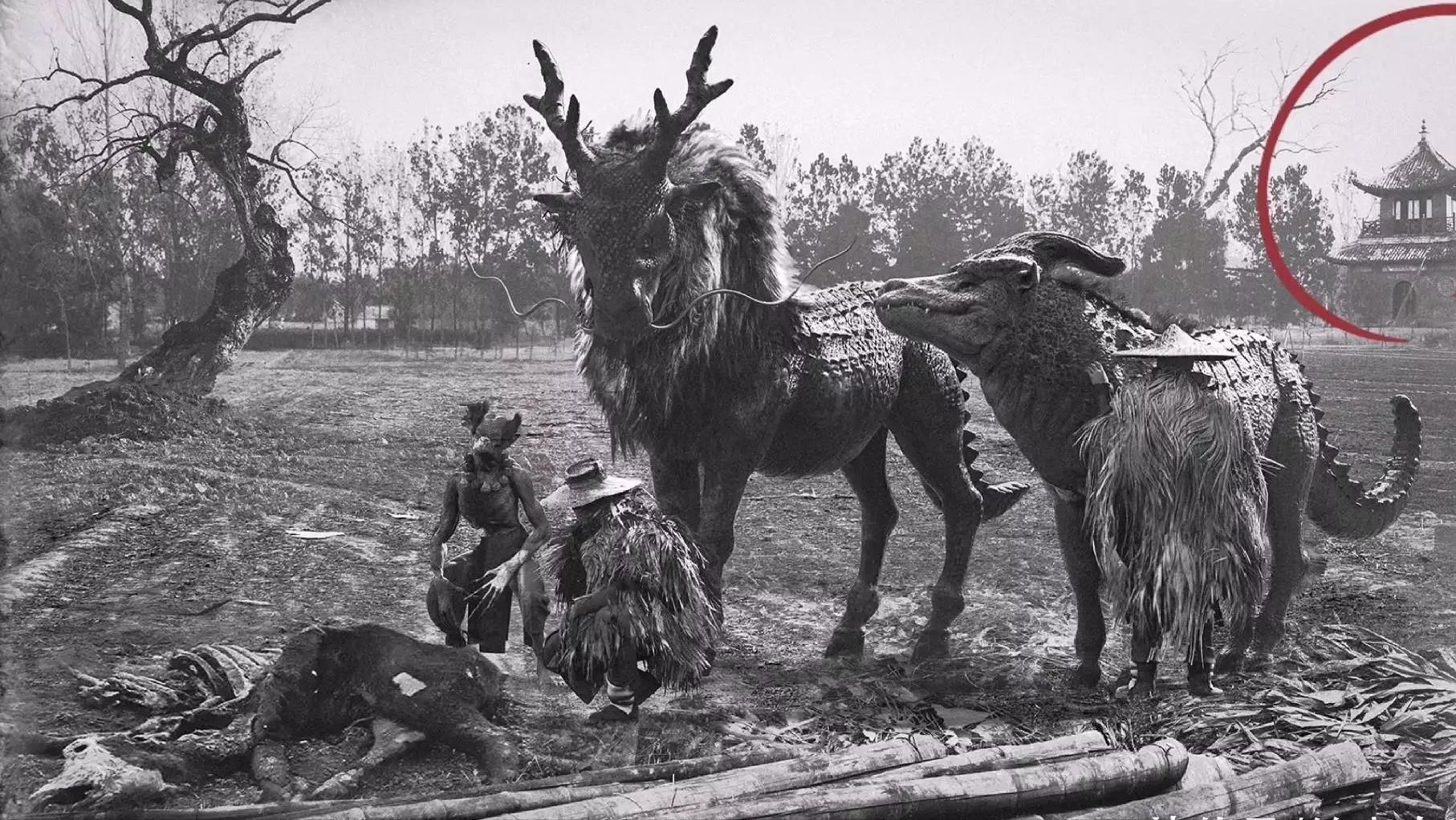 瑞兽麒麟和富贵麒麟,麒麟真的是瑞兽吗