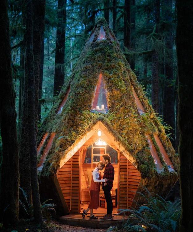 两位情侣在森林中搭个帐篷,一对情侣在大山深处打造的家