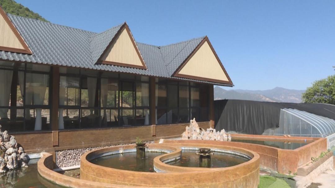 渔业乡村振兴,乡村振兴大棚养淡水鱼