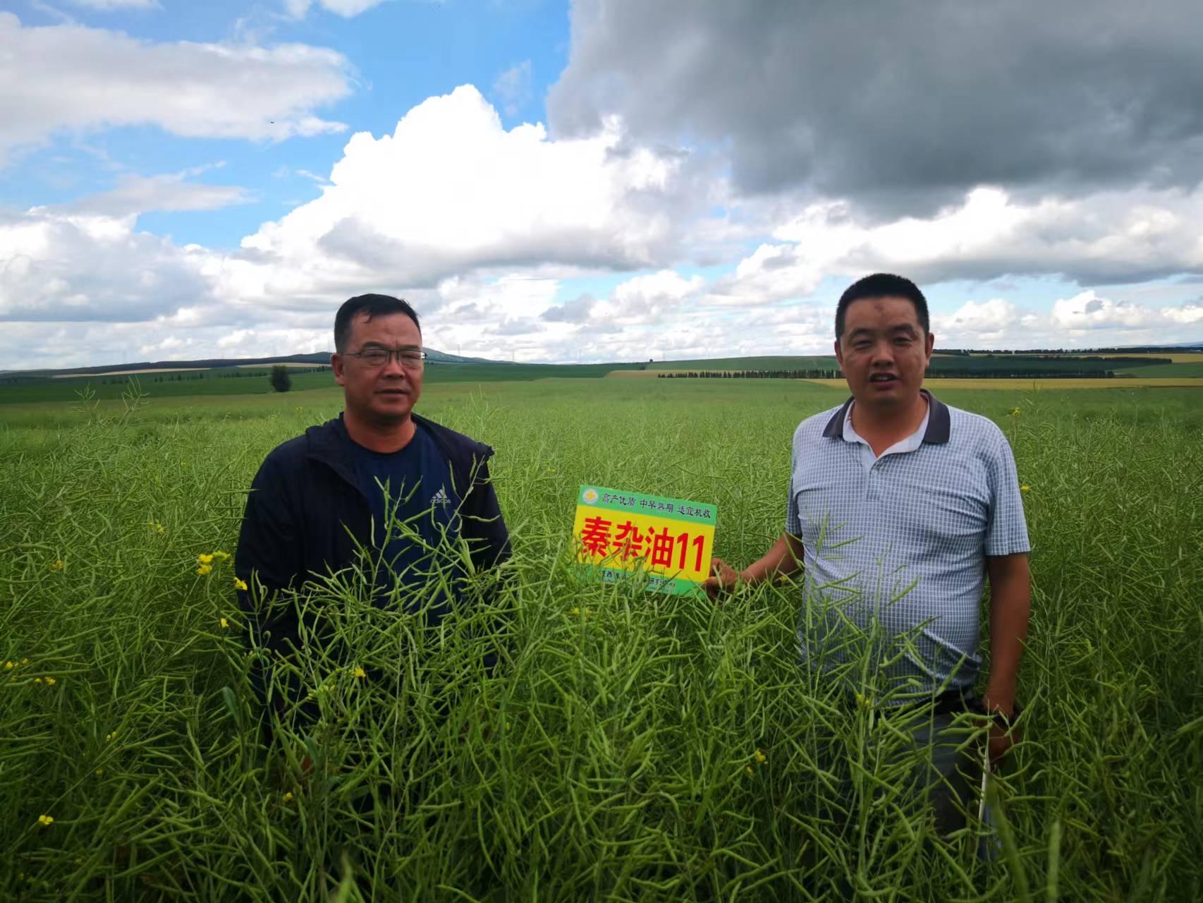 最美“油菜人”|韦世豪：耕耘在油菜田间的“魔法师”