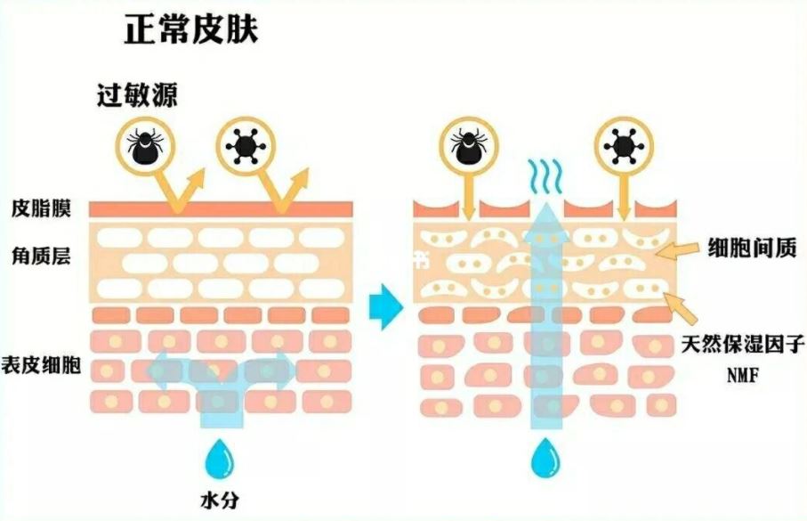 用护肤水脸上刺痛感怎么回事,护肤时候鼻翼有刺痛感原因