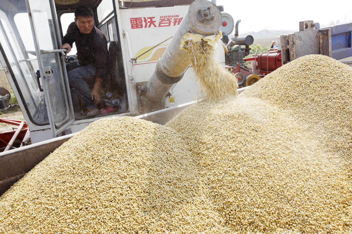 2018大豆价格4月行情,2020年11月3日国储拍卖大豆价格