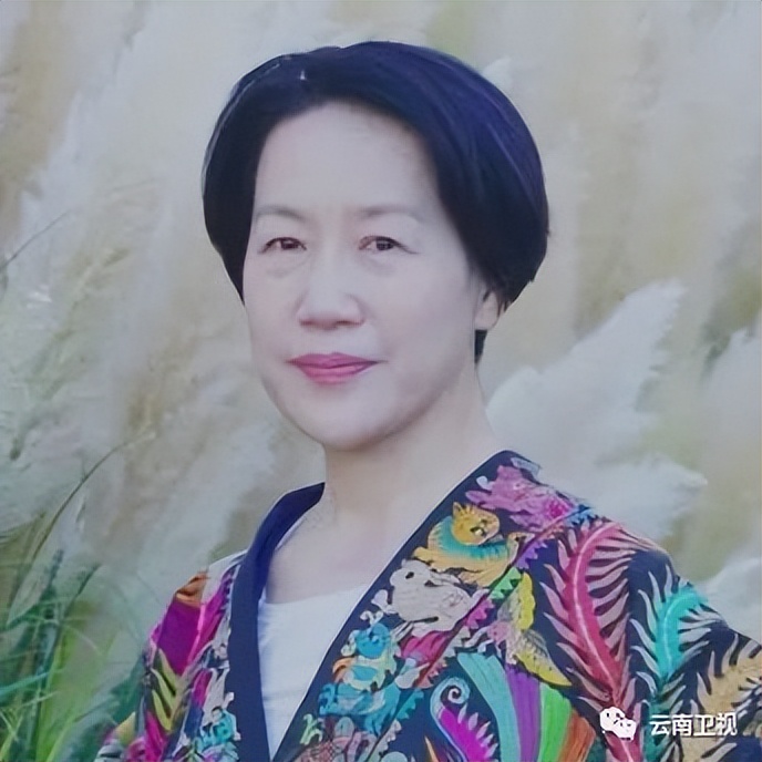 丝路云裳盛装中国盛典之夜视频,丝路云裳盛装中国第一站大理