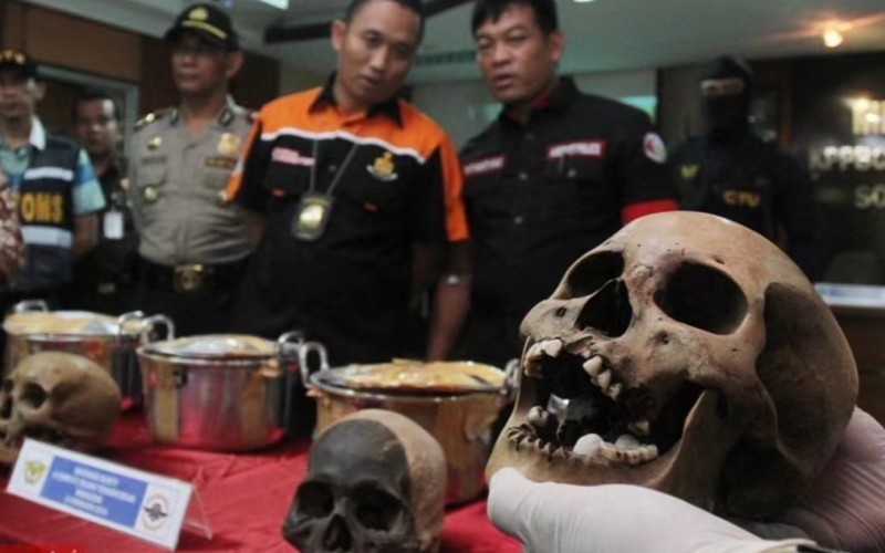 印度的特殊人骨产业链,印度人骨交易还存在吗