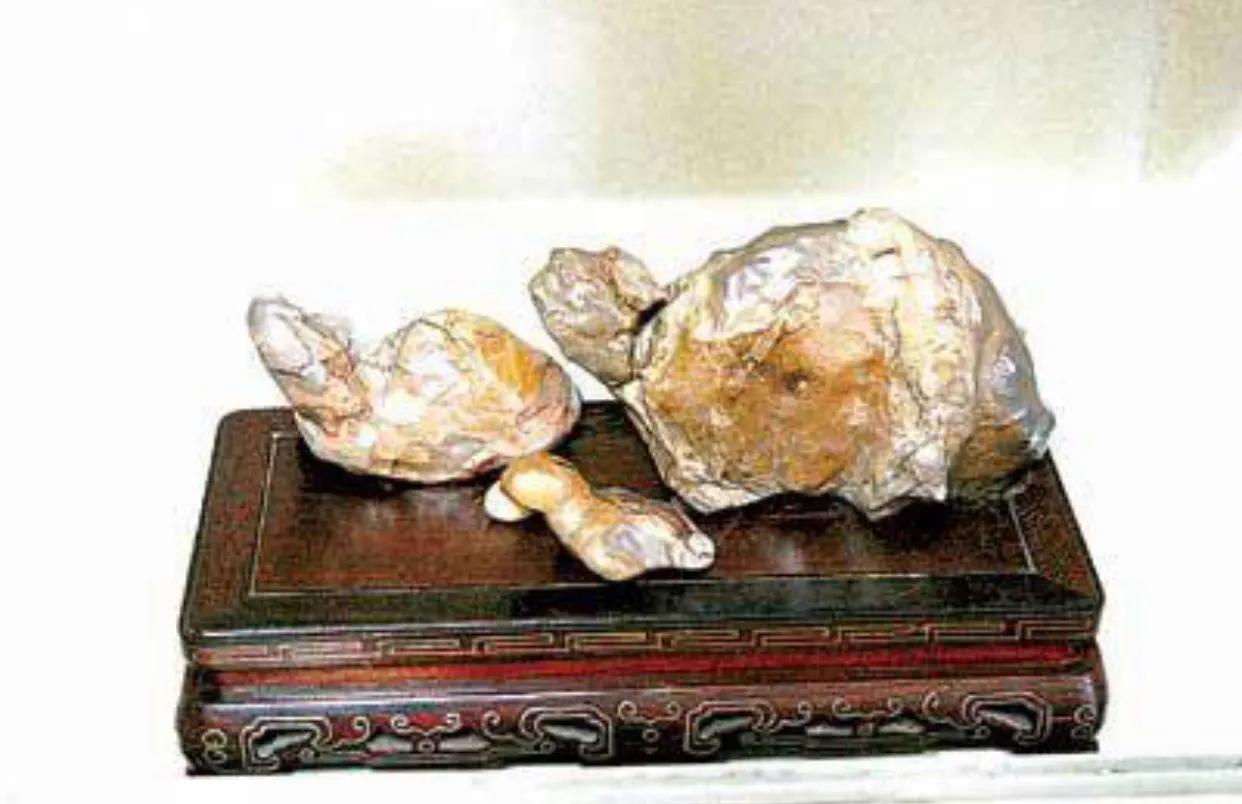 二十年前农民捡到最值钱奇石,天价奇石的真实现状