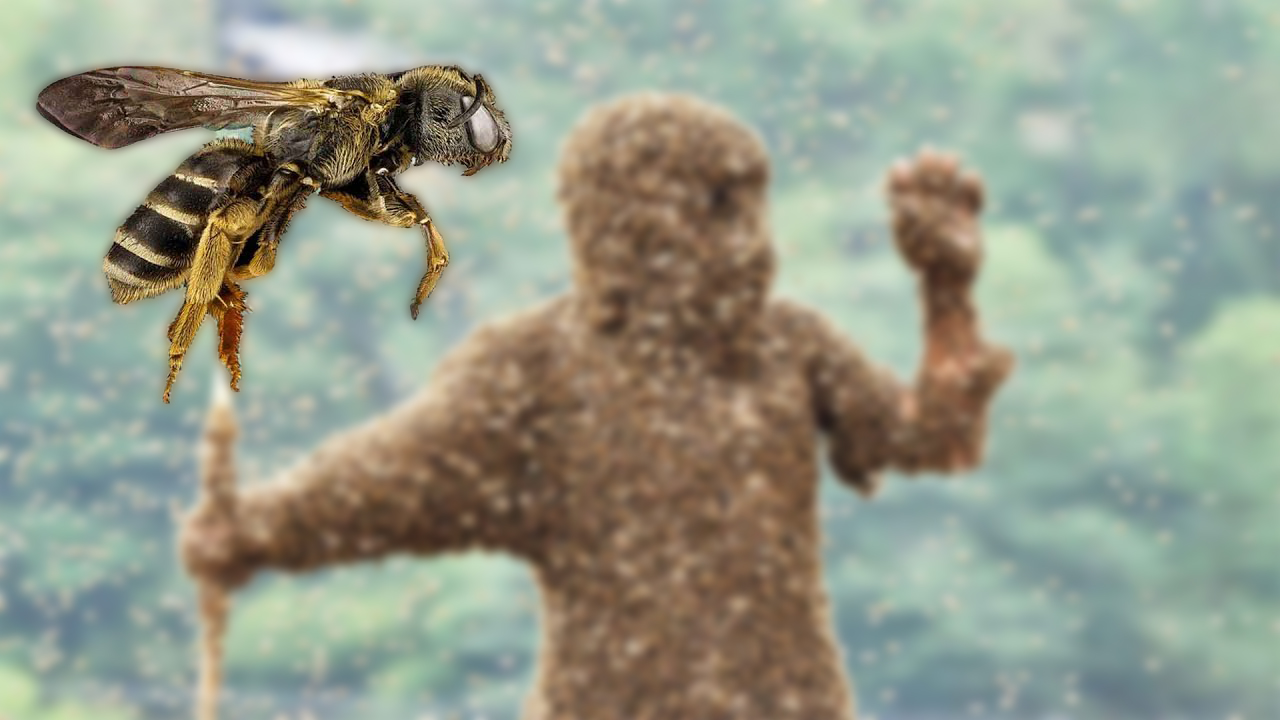 被10000只蜜蜂蛰会怎么样,如果蜜蜂蜇我们蜜蜂会死吗