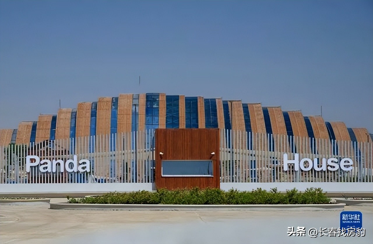 世界杯怎么赢,世界杯获胜秘籍是什么