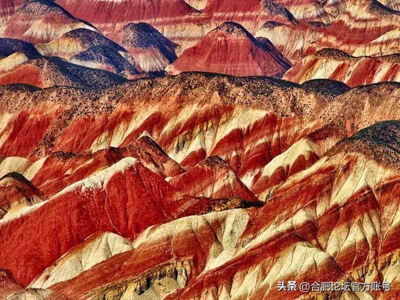 合肥6月特价机票,合肥出发全国旅游团购