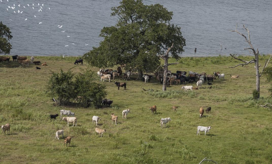 发达国家对农业多实行财政补贴,发达国家对农业的政策