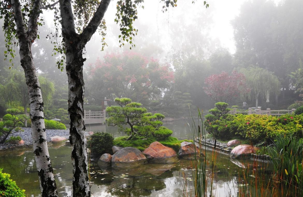 风景园林设计思维的学习方法,对风景园林设计的认识和理解