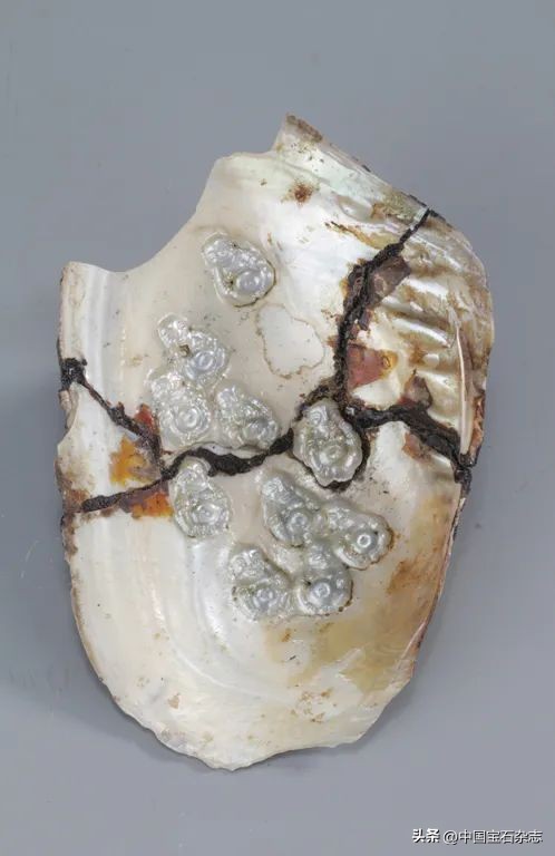 古代珍珠图案大全,中国古代珍珠品种