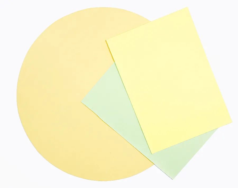 梨树上的生命物语