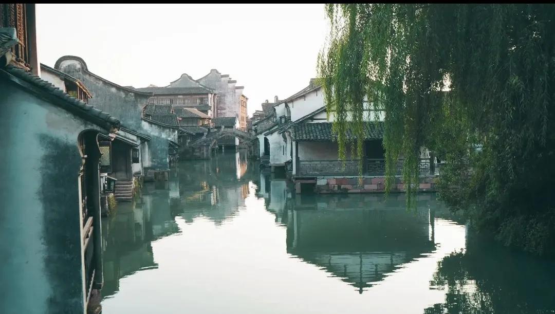 舌尖上的梦魇（二）