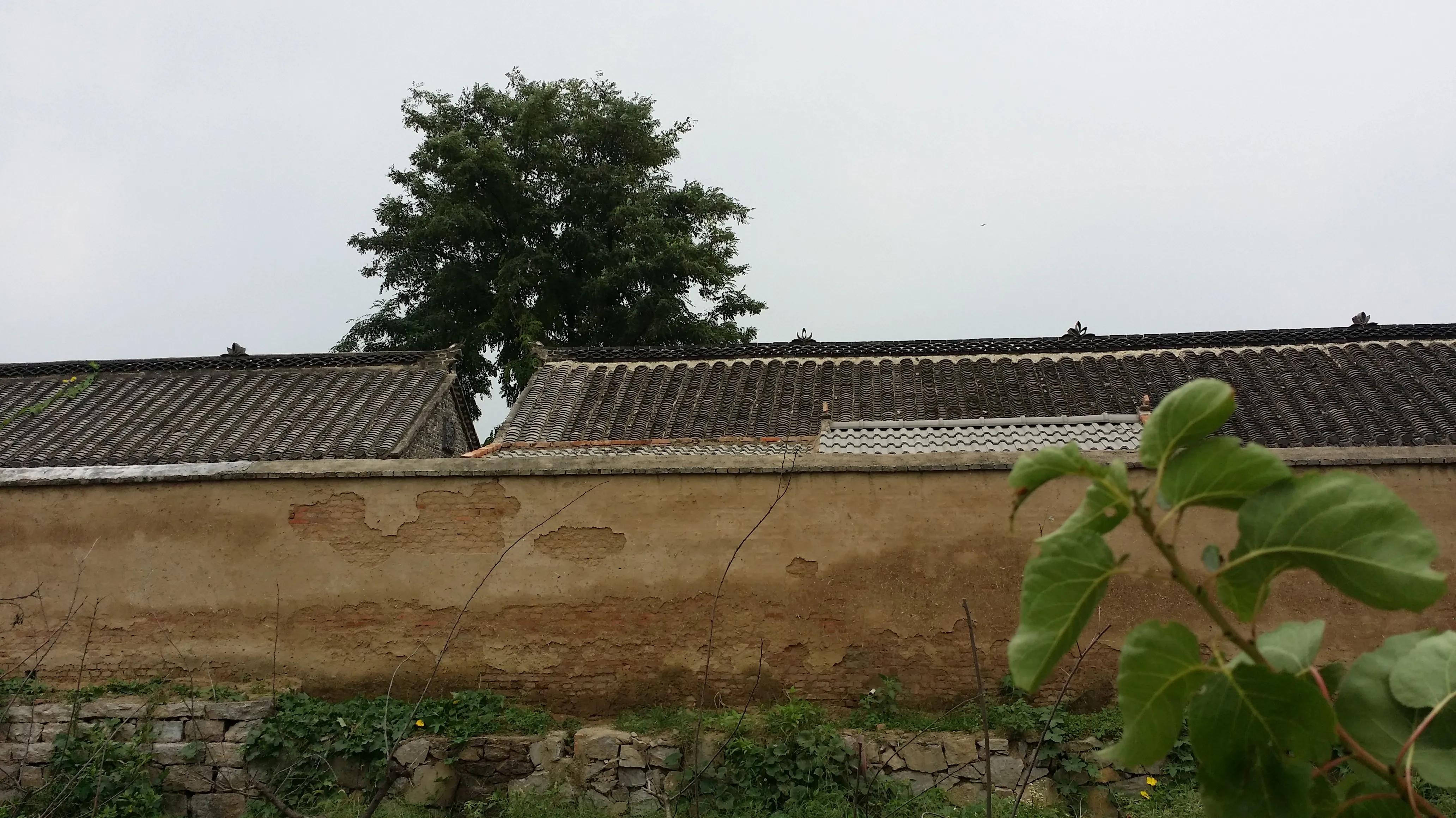 萧县周边一日游攻略,萧县周边旅游景点推荐一日游