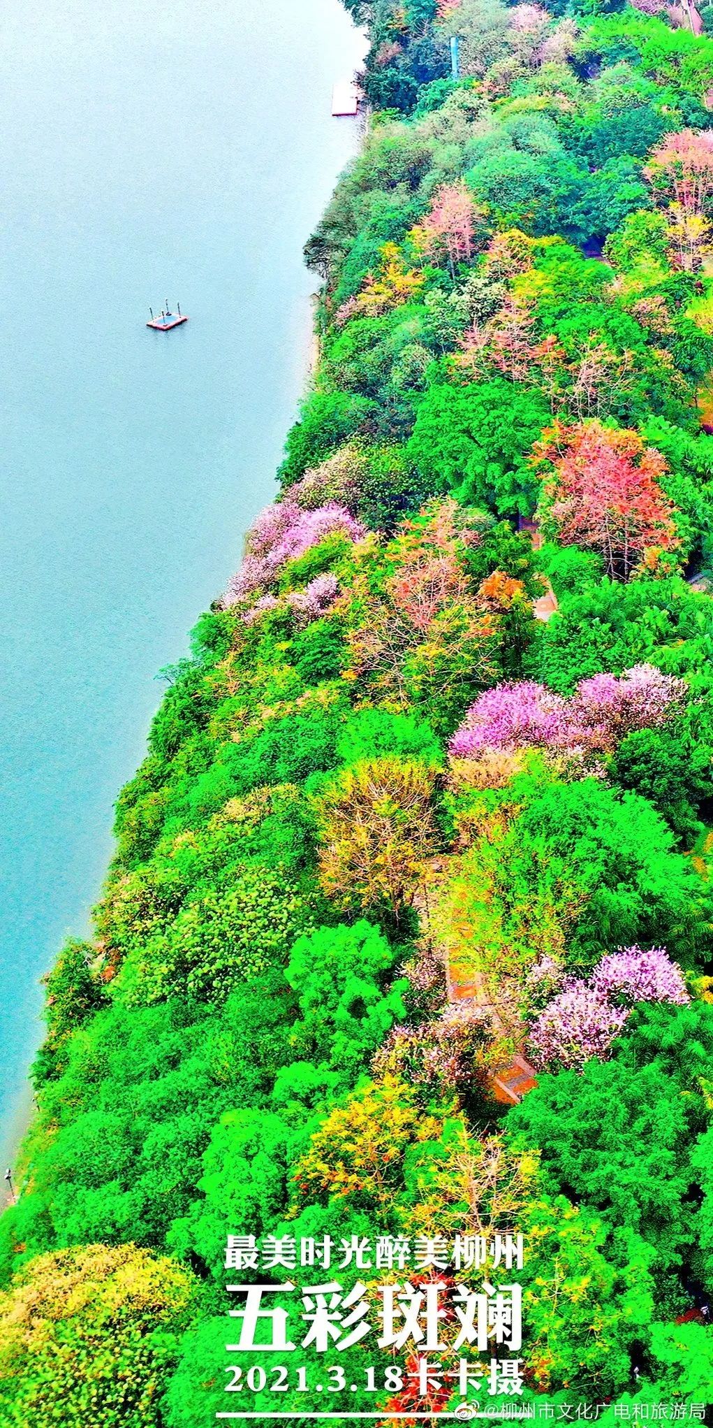 春天，我想到一座城，吃粉粉，看粉粉