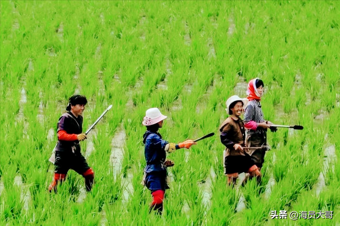 记录朝鲜现实生活中的点点滴滴,你想象中的朝鲜和现实中的朝鲜
