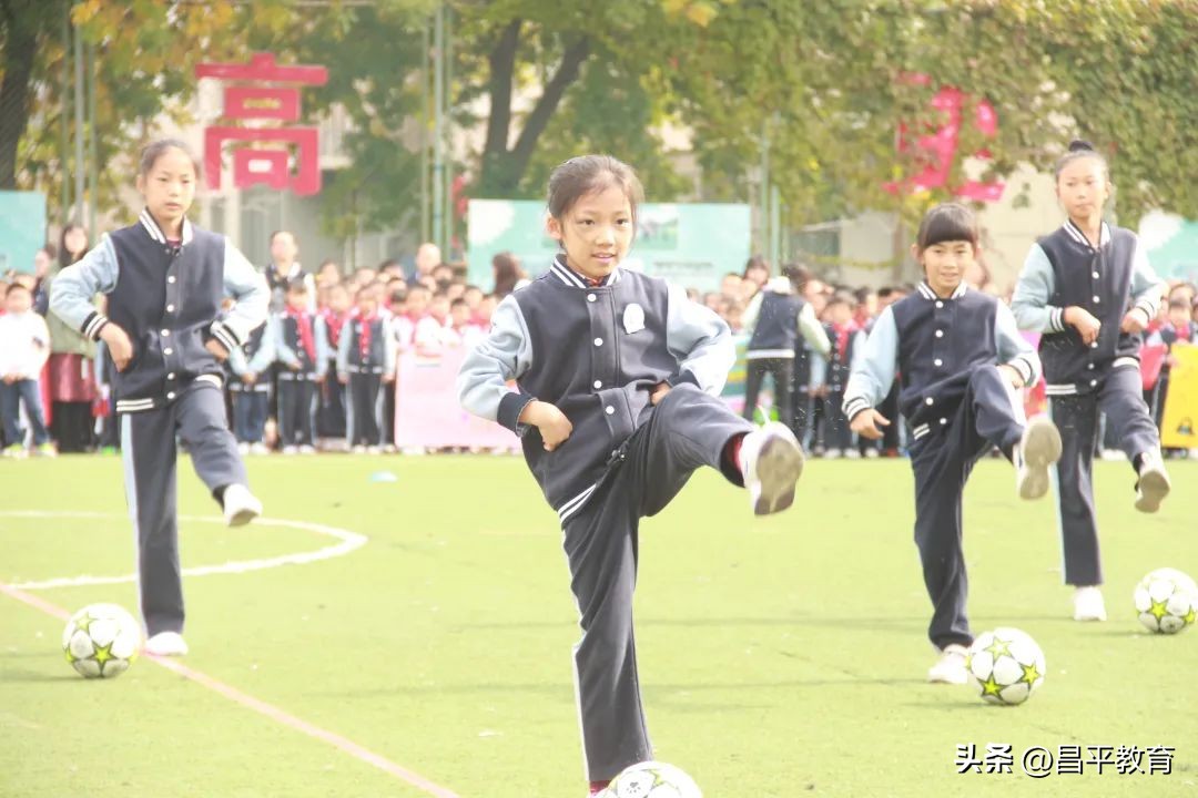 校园足球与世界杯,班里一共48人会踢足球的有22人