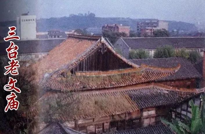 忆母校视频,忆母校风华正茂