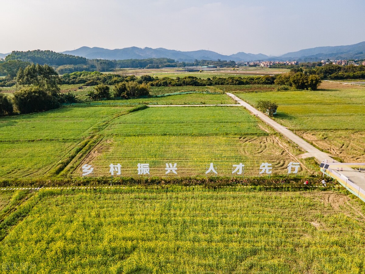 国内的泰国香米是真的吗,泰国香米是真的还是假的