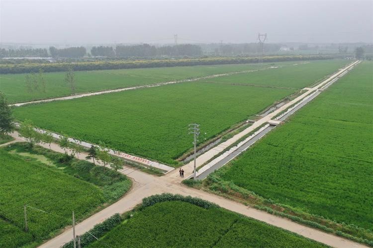 国家规划几年完成新农村建设,2020年国家针对农村项目有哪些