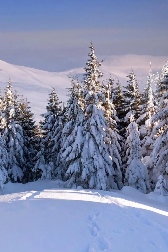晚来天欲雪能饮一杯无全诗翻译,晚来天欲雪能饮一杯无类似的句子