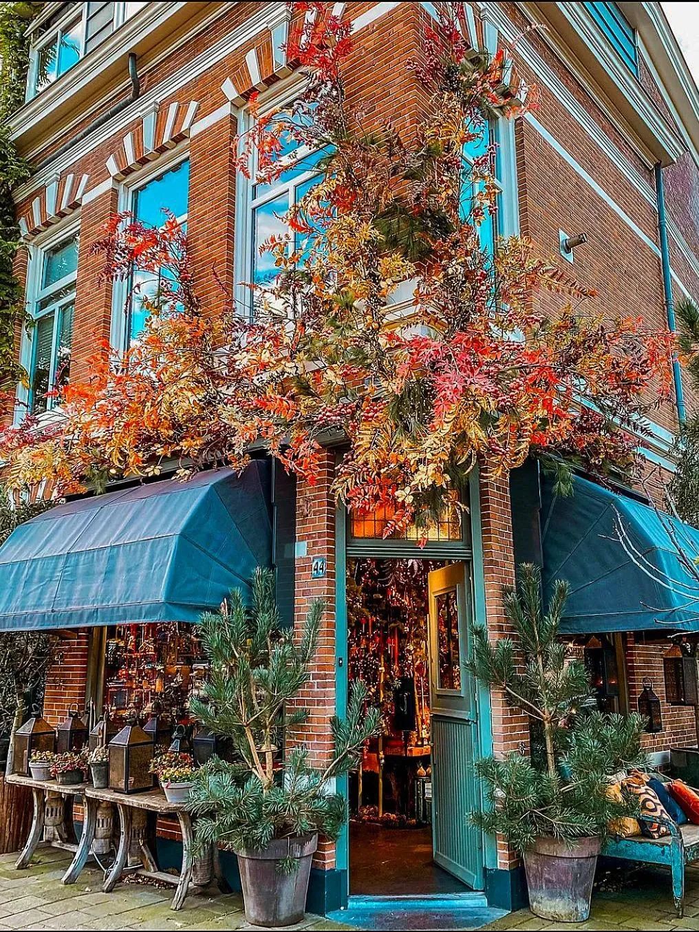 什么花店最受欢迎,花店什么风格最受欢迎