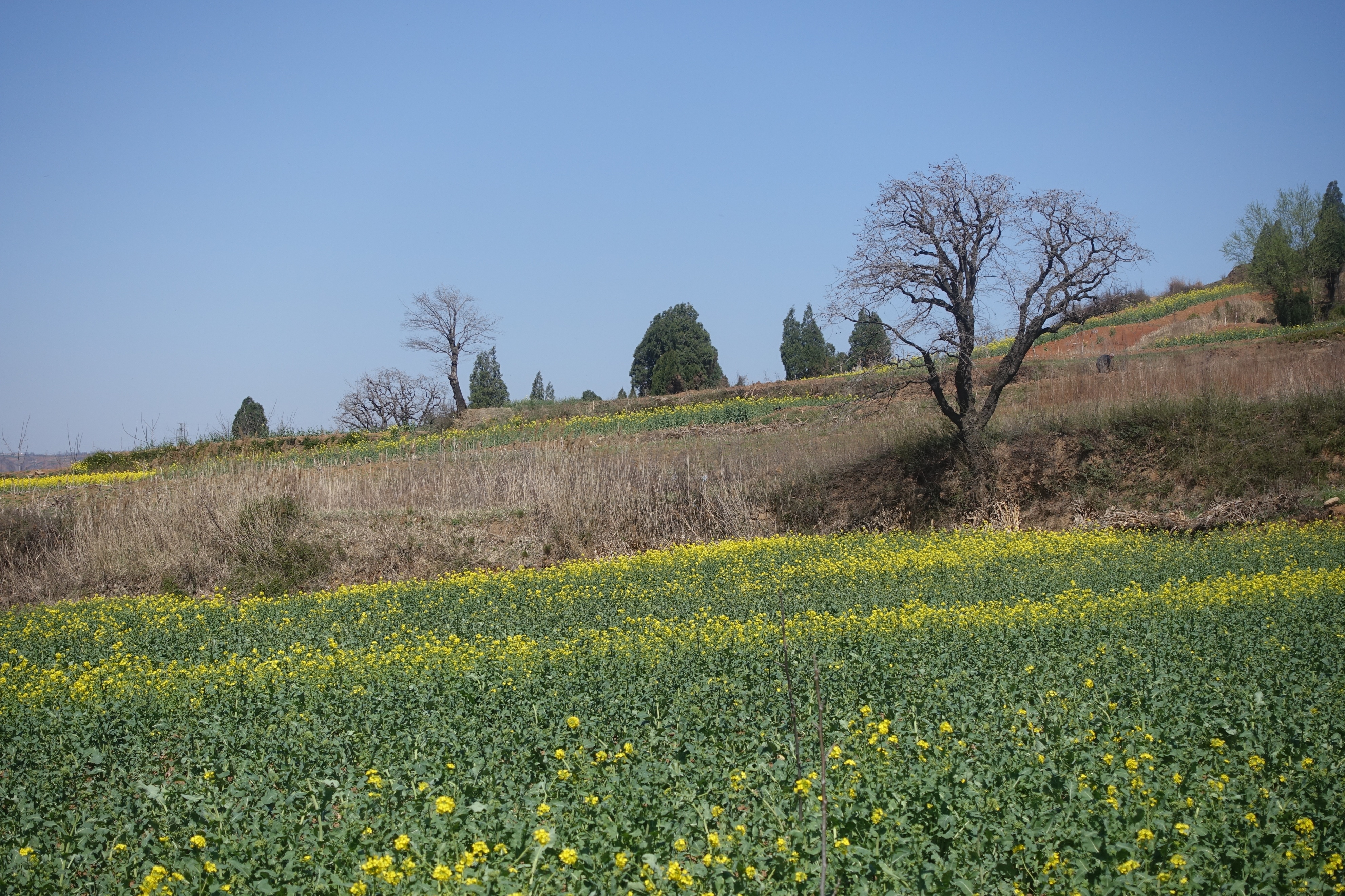 隐藏在西安的神秘古迹,隐匿在西安乡间的国宝级建筑