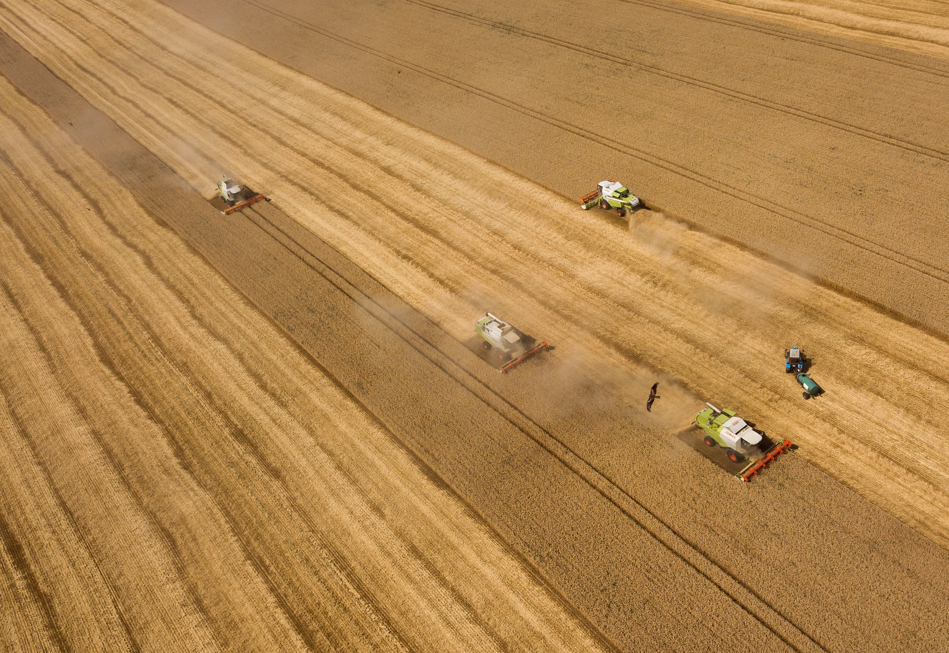 俄罗斯给中国敲了警钟,俄罗斯给中国的三点建议