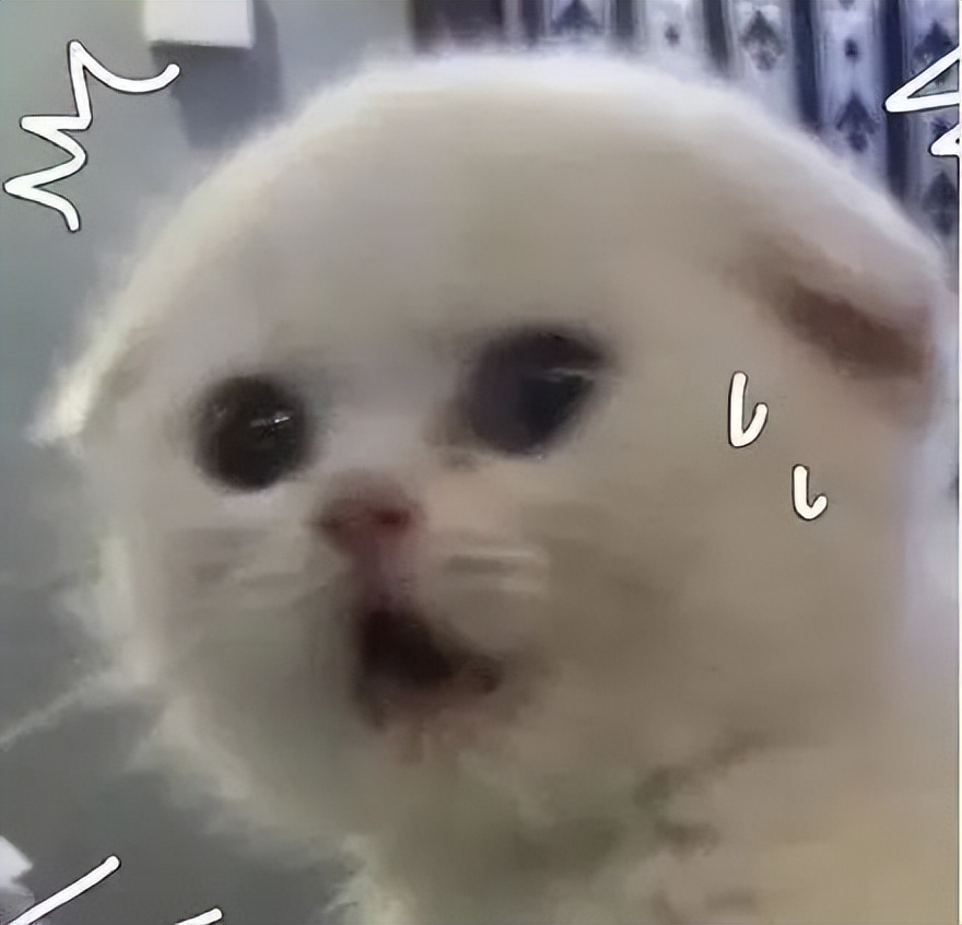 卸去伪装,卸去所有的伪装