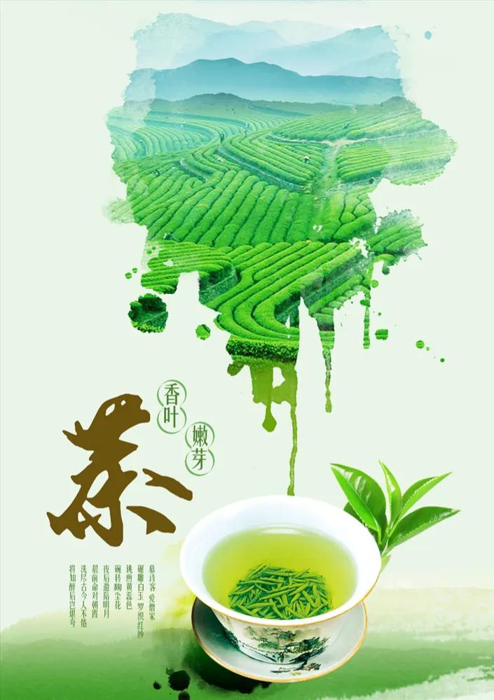 青城春茶：究竟是从什么时候开始朝贡的？