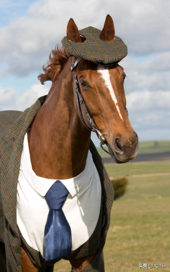 好好的公马，为啥要阉割掉？