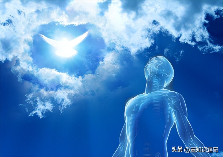 什么是灵魂灵魂的真谛是什么,爱因斯坦认为灵魂的本质是什么