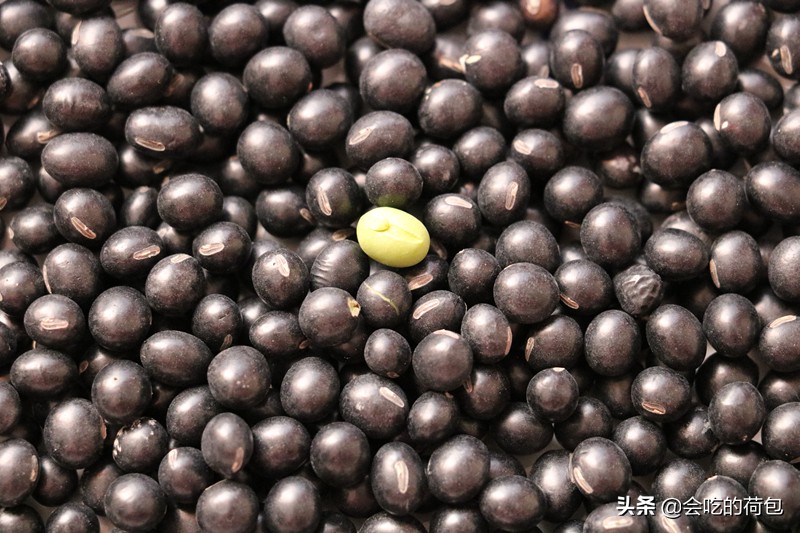 冬天吃黑豆有什么好处,春季吃黑豆怎么吃效果好