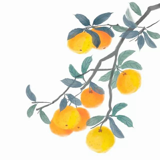 有关寒霜降的宋词,有关霜降的七绝诗