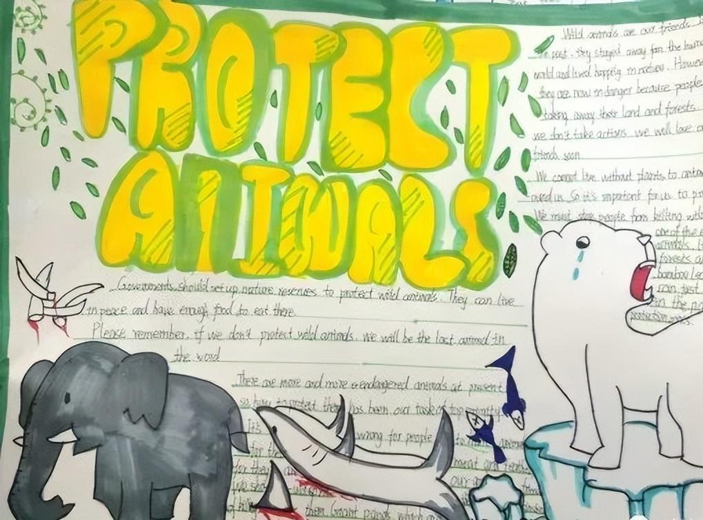 保护动物手抄报英语一等奖五年级,英语保护动物倡议手抄报