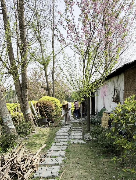 闲置猪圈变身小清新茶舍，3位80后妈妈在郫都打造向往的田园生活