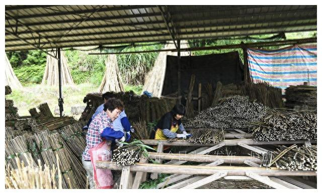 投资4-5万元的农村小加工作坊,投资5万元小型加工厂