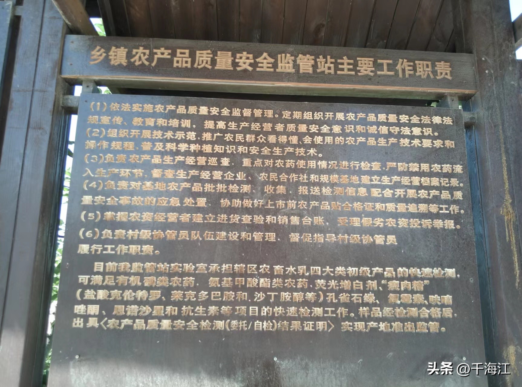 塞外水乡度假村怎么样,乌鲁木齐新市区塞外水乡门票价格