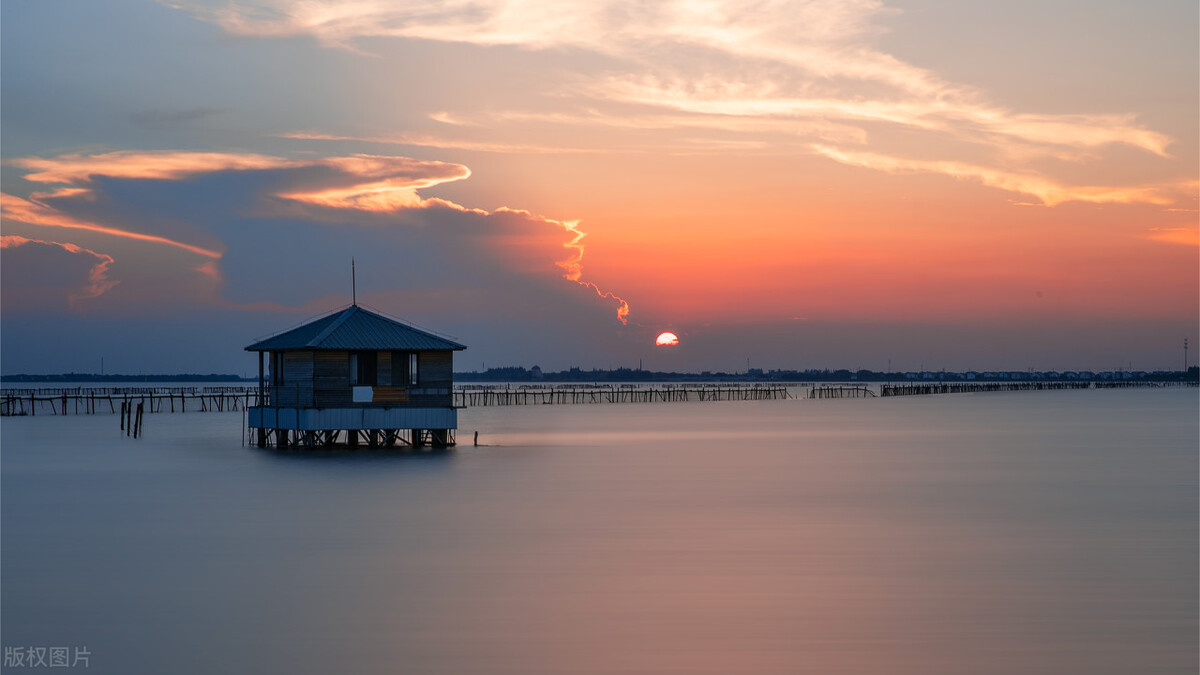 上海最新免费游玩景点推荐,上海旅游必去的五个免费景点