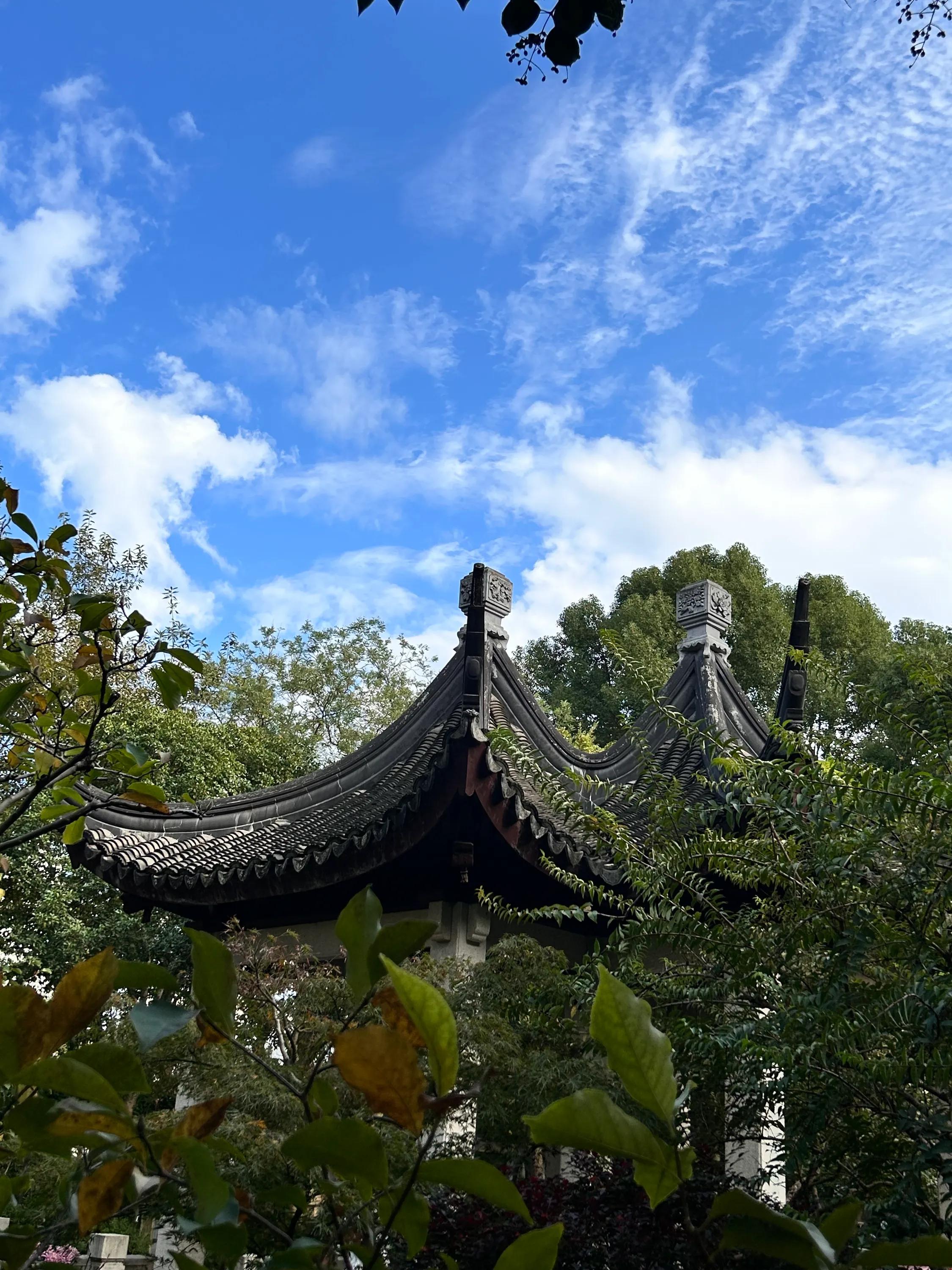 青浦古典园林图片,曲水园上海五大古园林之一