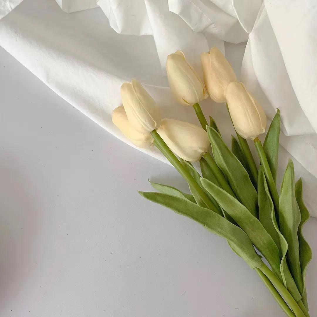 郁金香图片唯美大图,郁金香背景图粉色花海