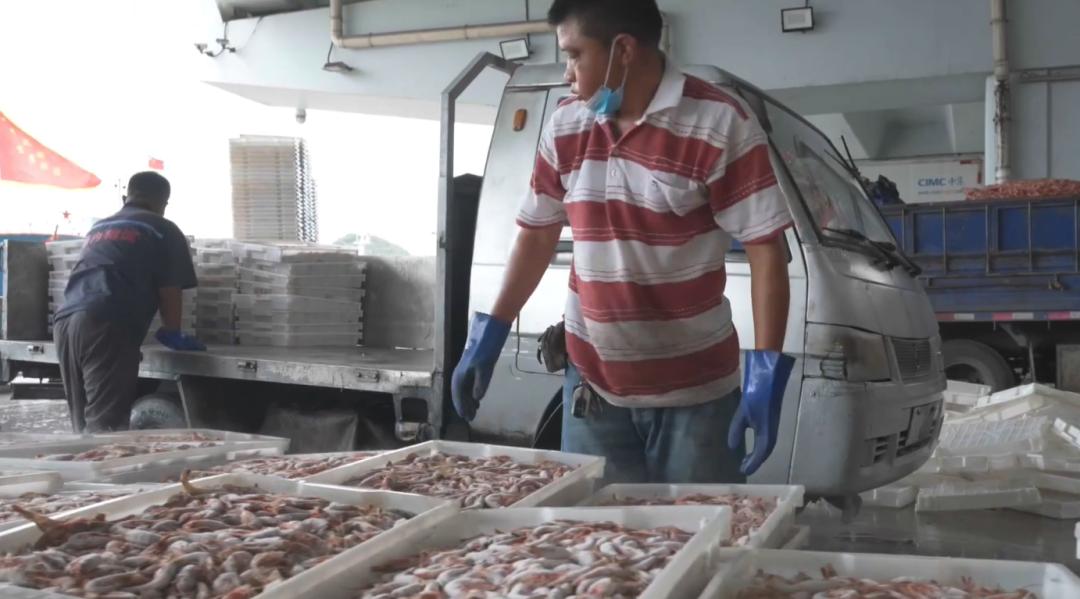 小伙子2万做水产生意一年赚3000万,90后创业水产的小伙子致富经