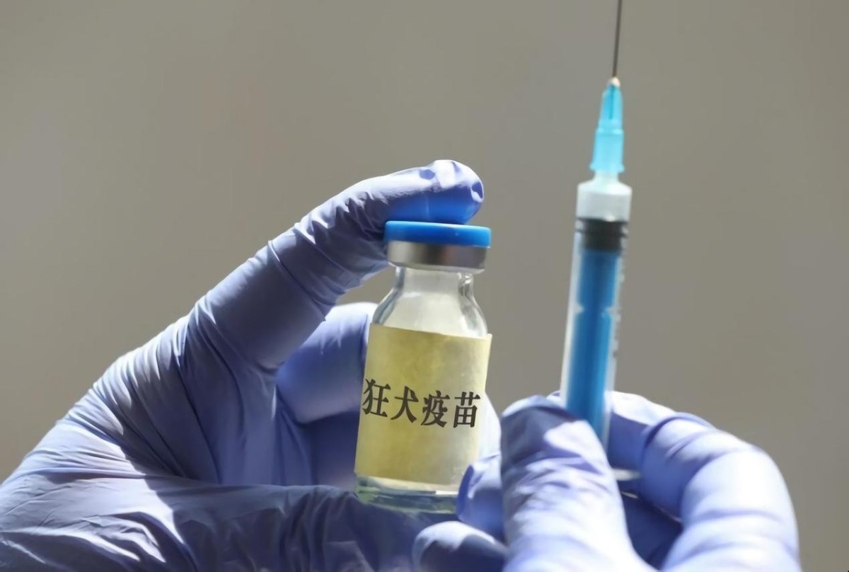 狂犬病和新冠变异,新冠狂犬病