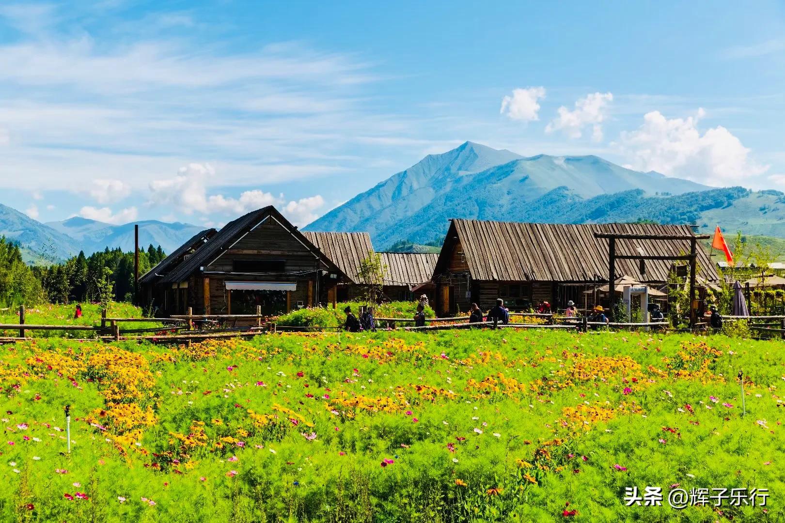 阿勒泰市喀纳斯禾木景区,新疆阿勒泰地区喀纳斯风景区