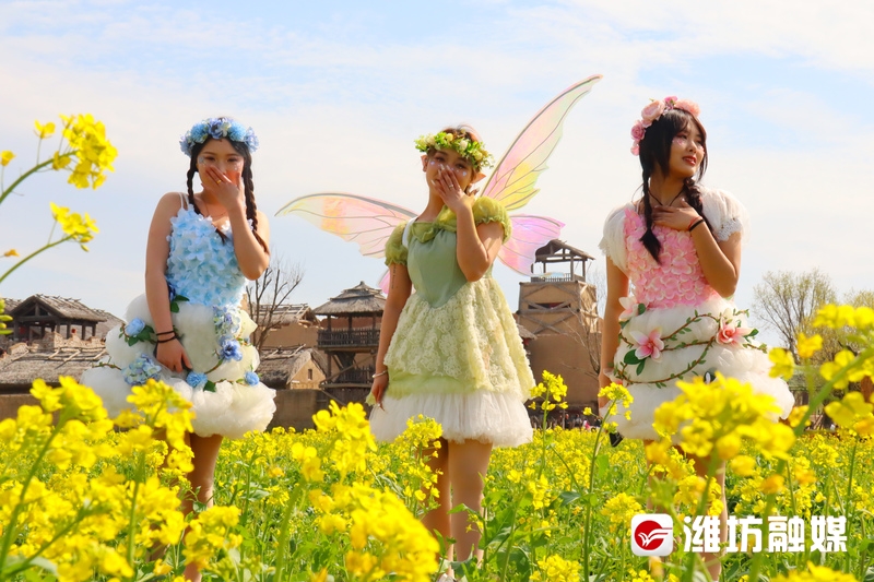 这个假期盛开如花,赴一场花之约邂逅春日浪漫