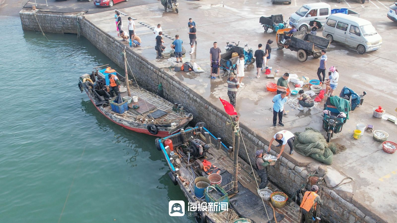 日照小海虾批发,日照小开海