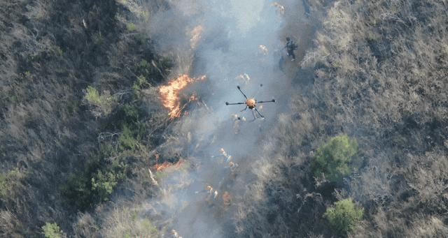 筑牢森林消防安全防火墙,筑牢森林防火安全防线
