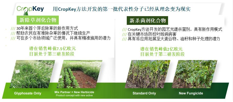 拜耳推出新型杀菌剂,拜耳新品农药